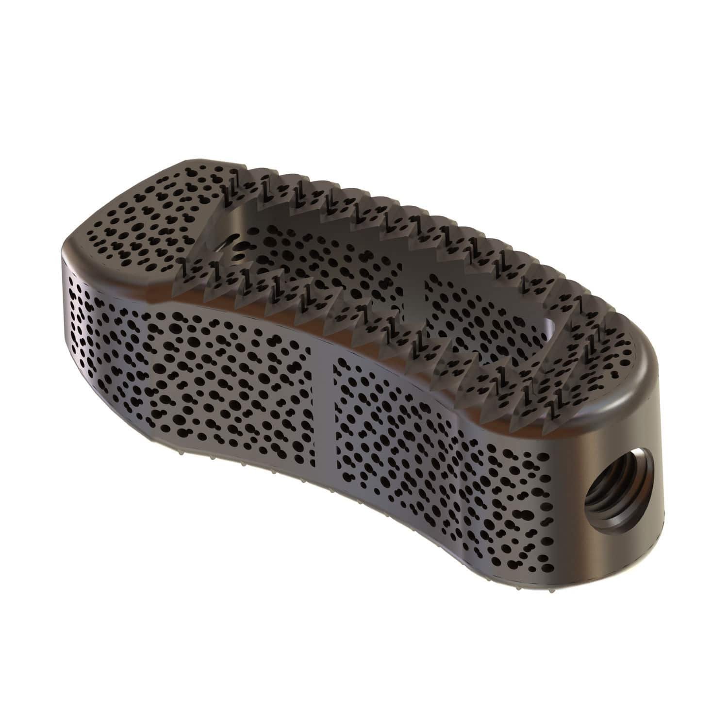 Lumbar interbody fusion cage TERRACOTTA TLIF