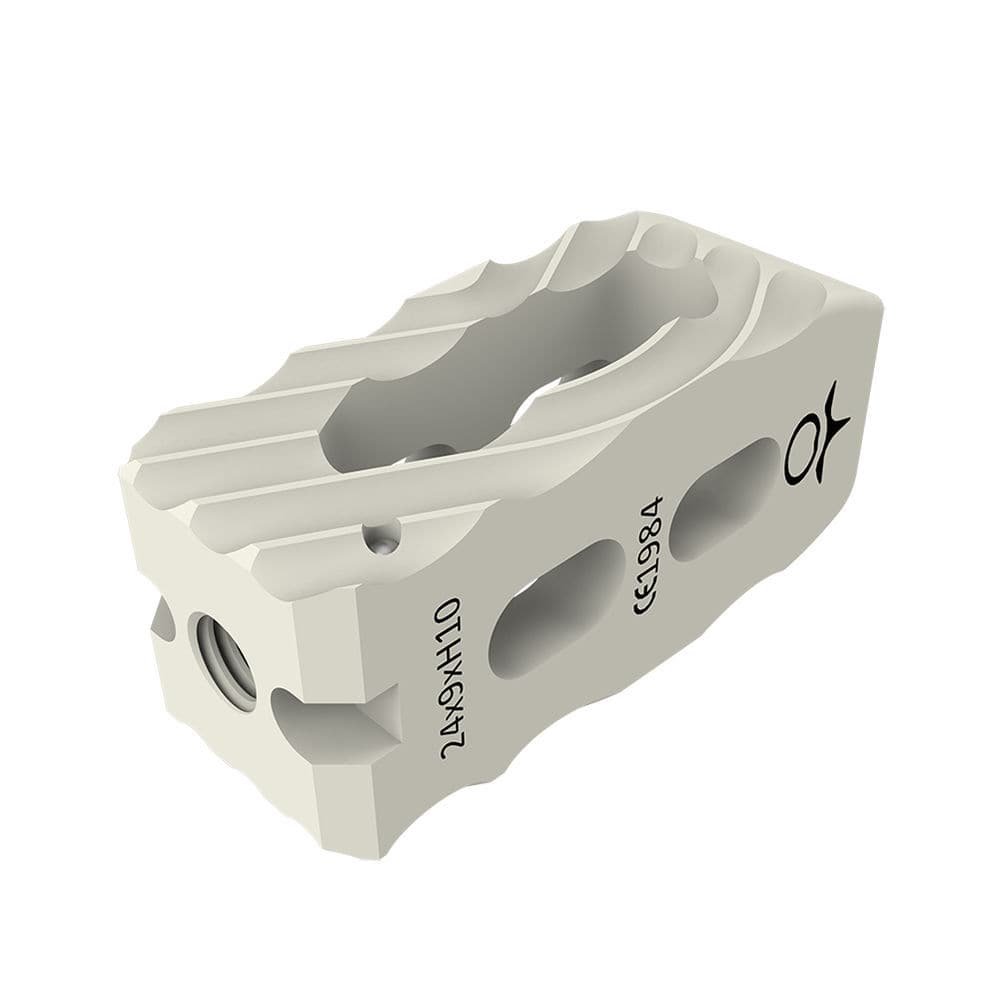 Lumbar interbody fusion cage ZELOS