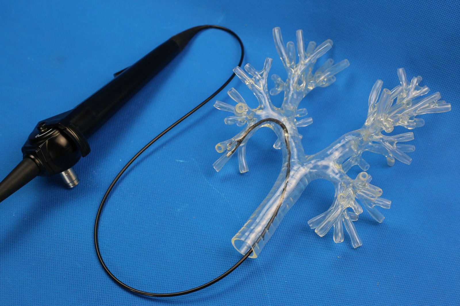 Lung model PLHX1001 image 4