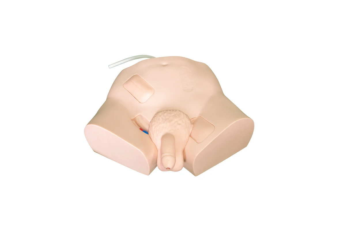 Male Manikin Urethral Catheterization Simulator