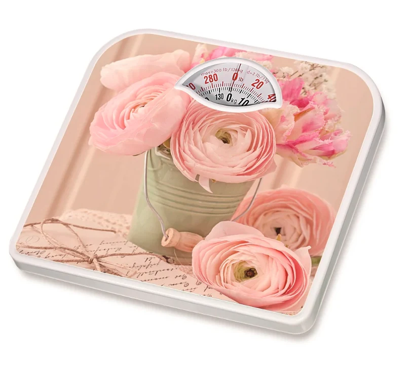Mechanical Weight Scale Camry BR-2015 alternate view image 2