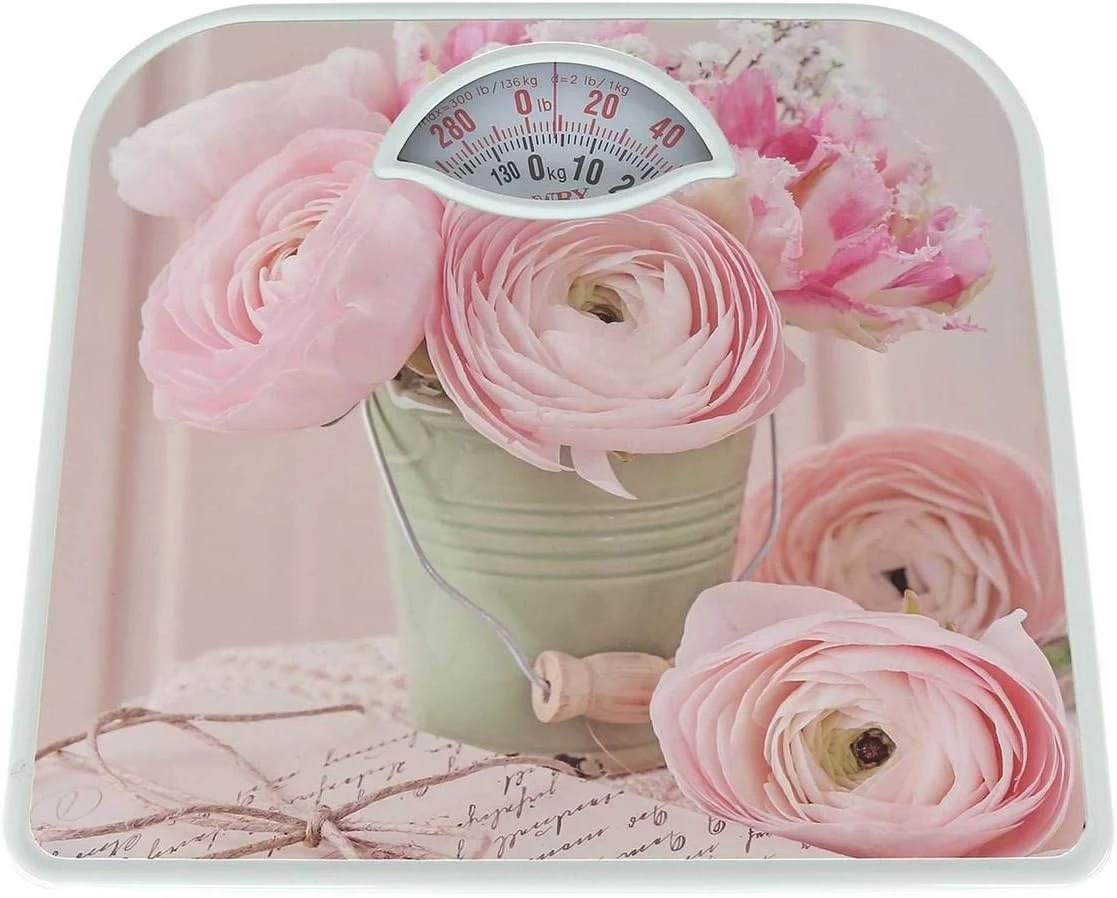 Mechanical Weight Scale Camry BR-2015