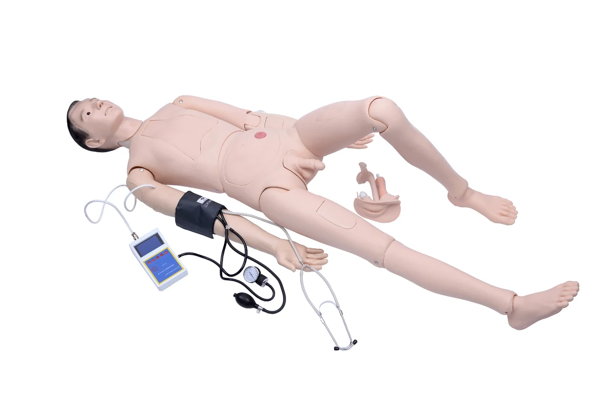Injectable Training Arm IV Model