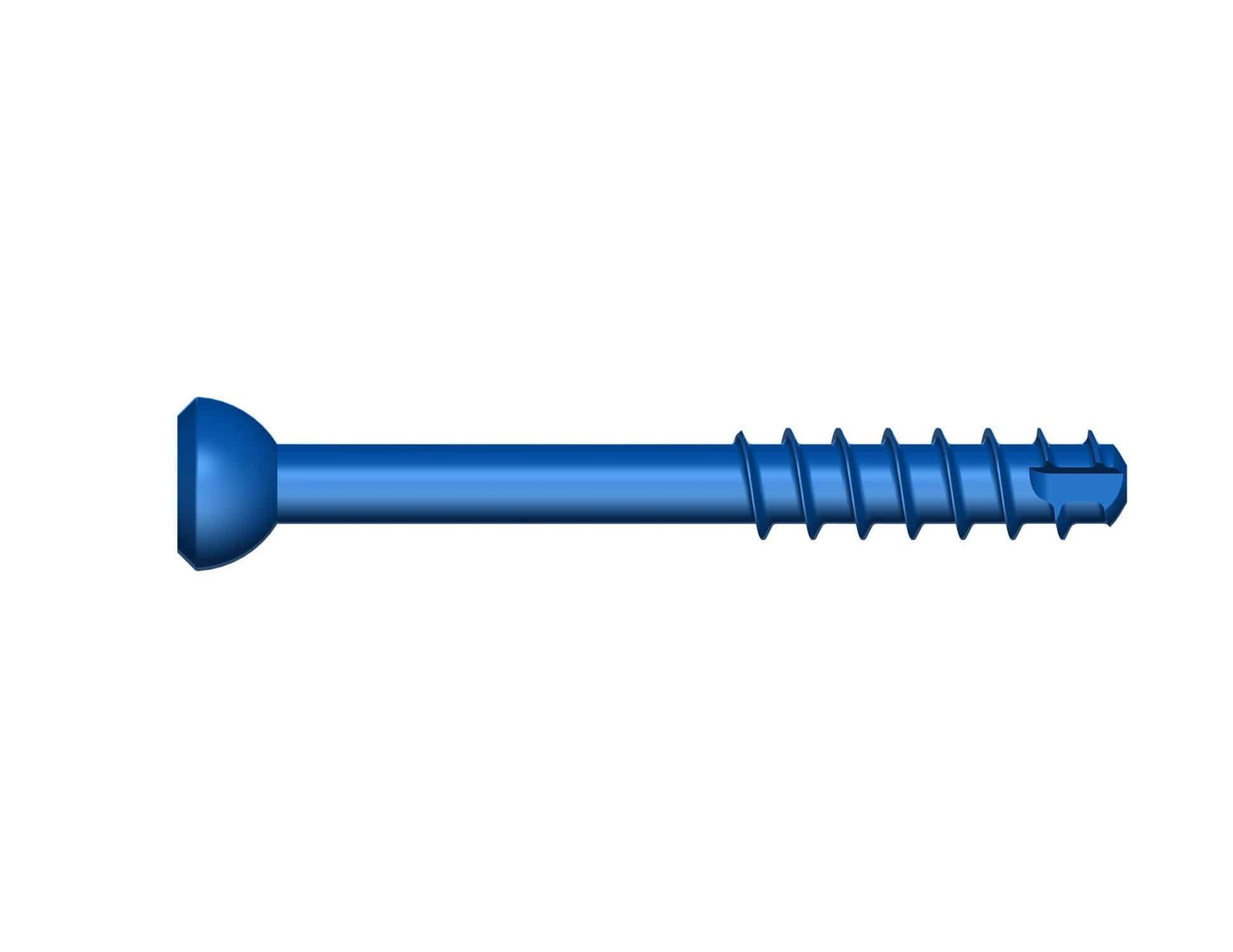 Odontoid process compression bone screw ATLAS