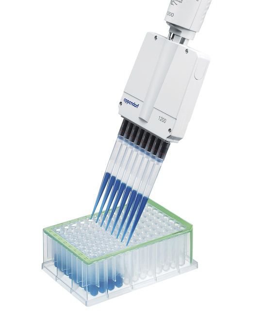 PCR microplate LoBind® alternate view image 2