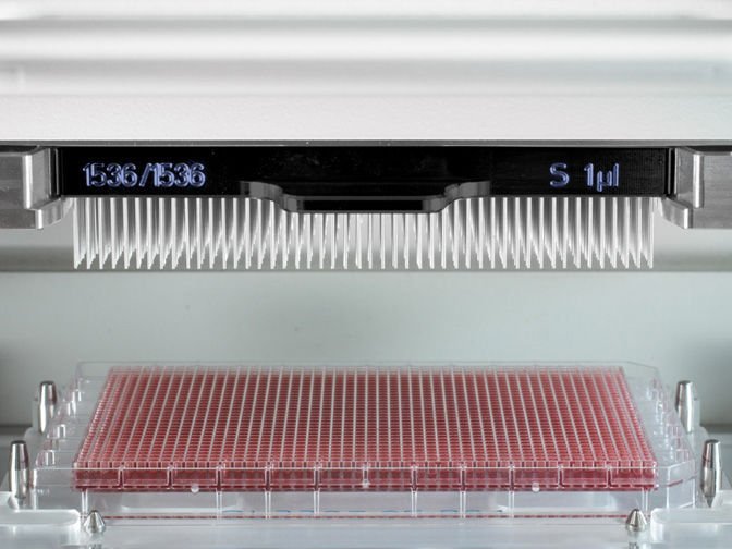Pipette tip CyBio 1536