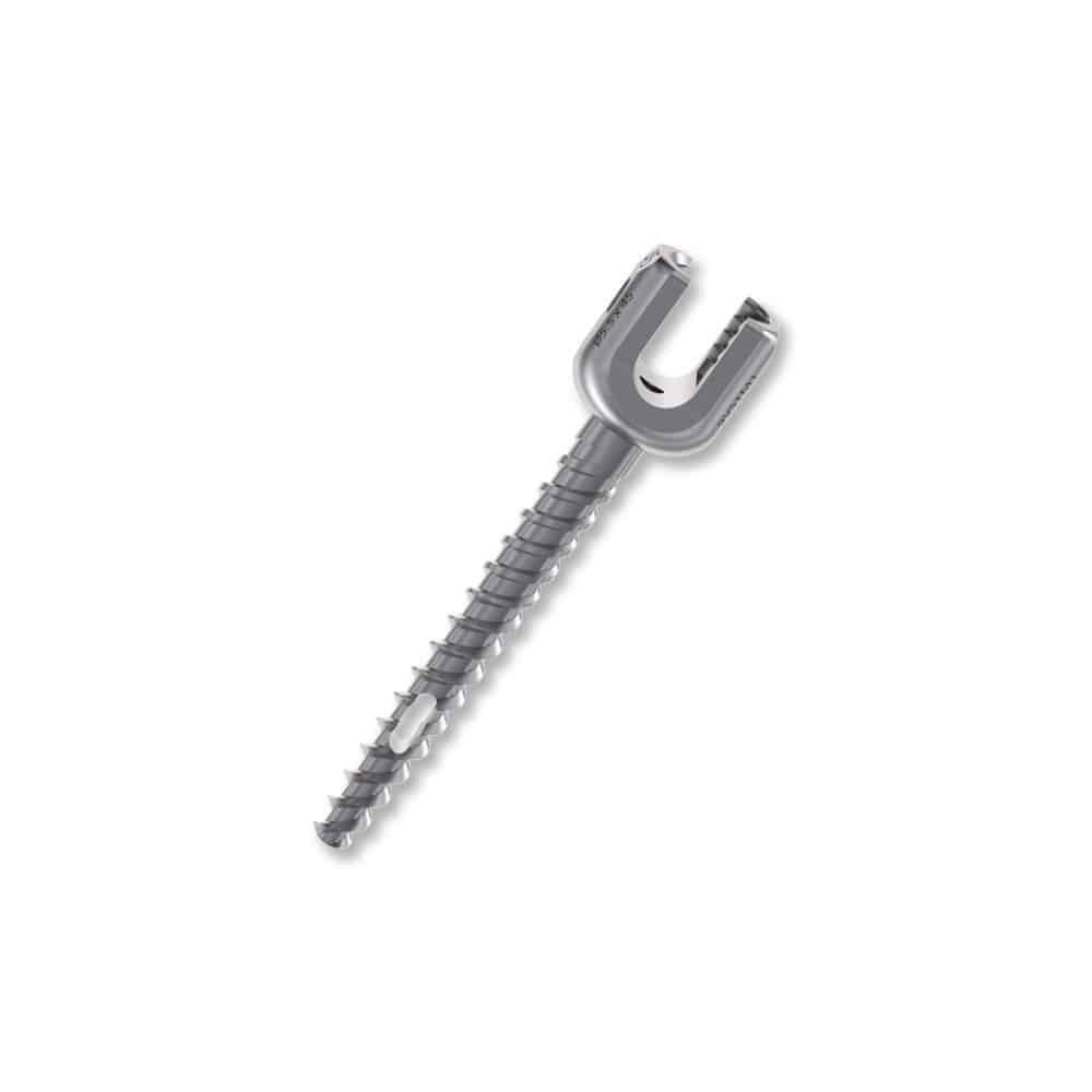 Polyaxial pedicle screw VESTA image 3