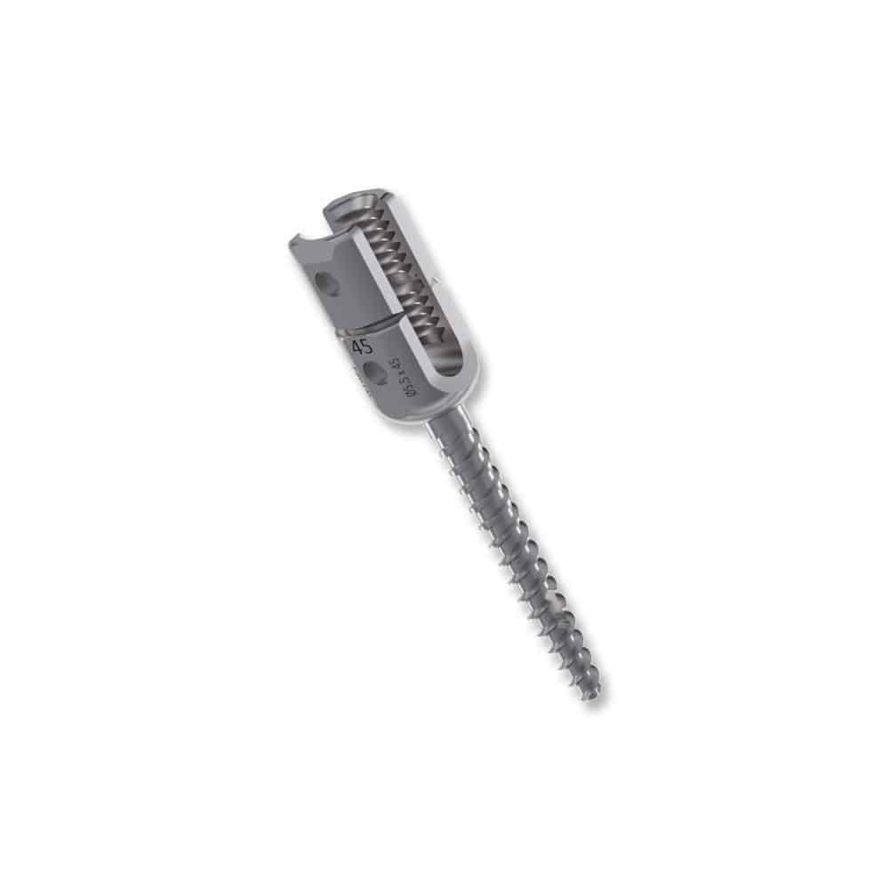 Polyaxial pedicle screw VESTA image 4