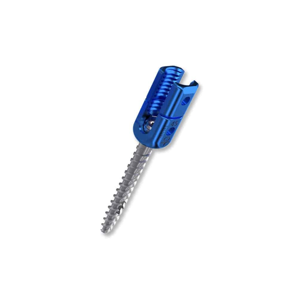 Polyaxial pedicle screw VESTA image 6