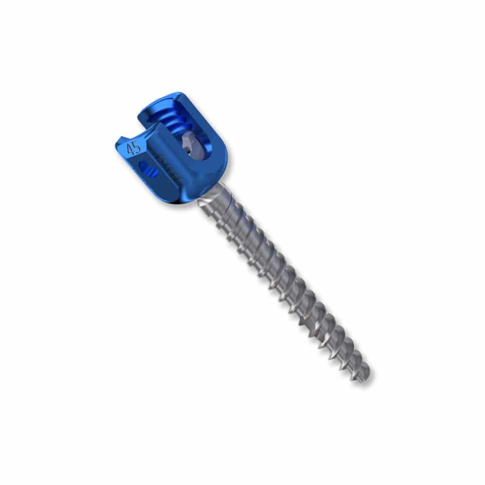 Polyaxial pedicle screw VESTA