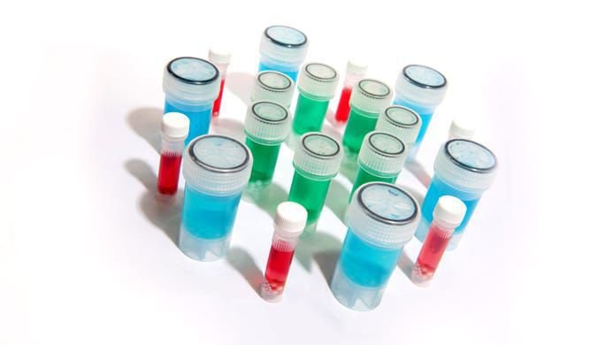Protease reagent kit Precellys ® image 3