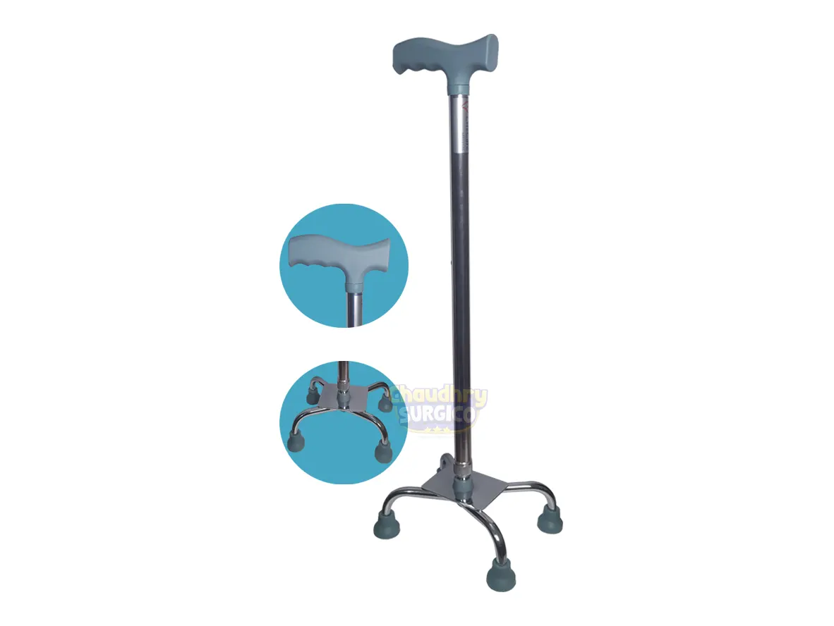 Walking Stick Price In Gujarat
