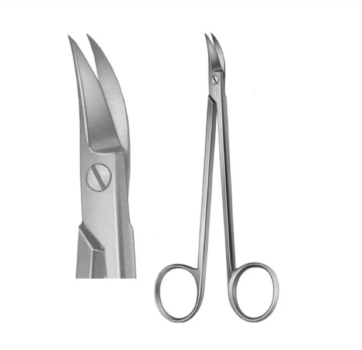 Quinby Scissors Curved 13cm - Dental Gum Scissors