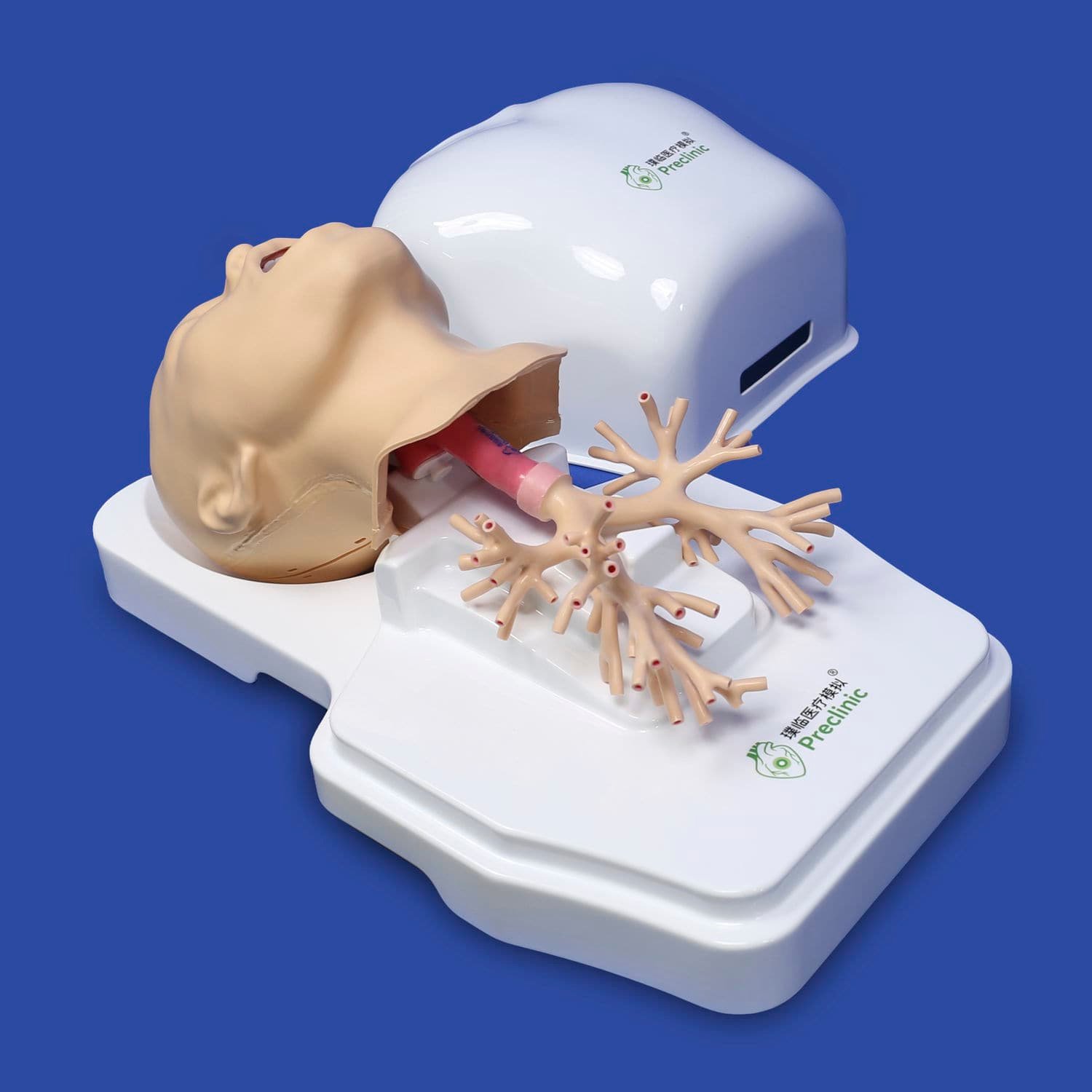Respiratory system model PLHX1002 alternate view image 2