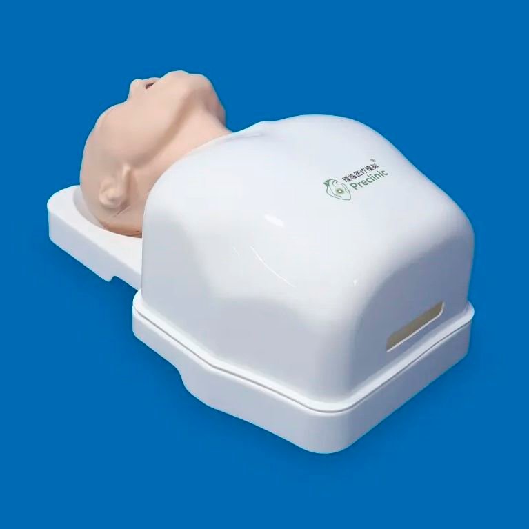 Respiratory system model PLHX1002