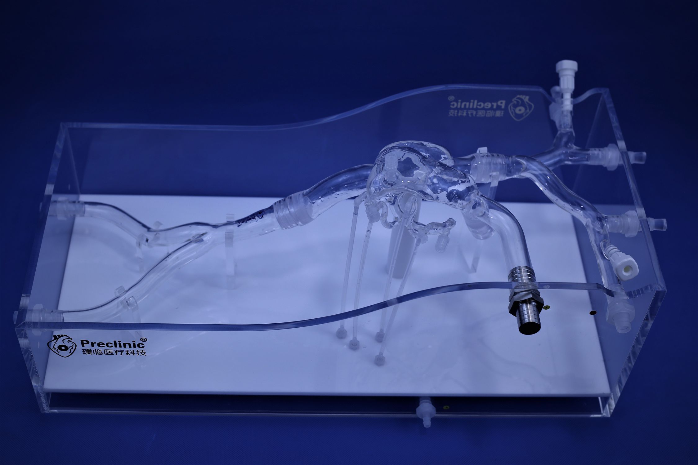Sinus vascular model PLXG1011 alternate view image 2