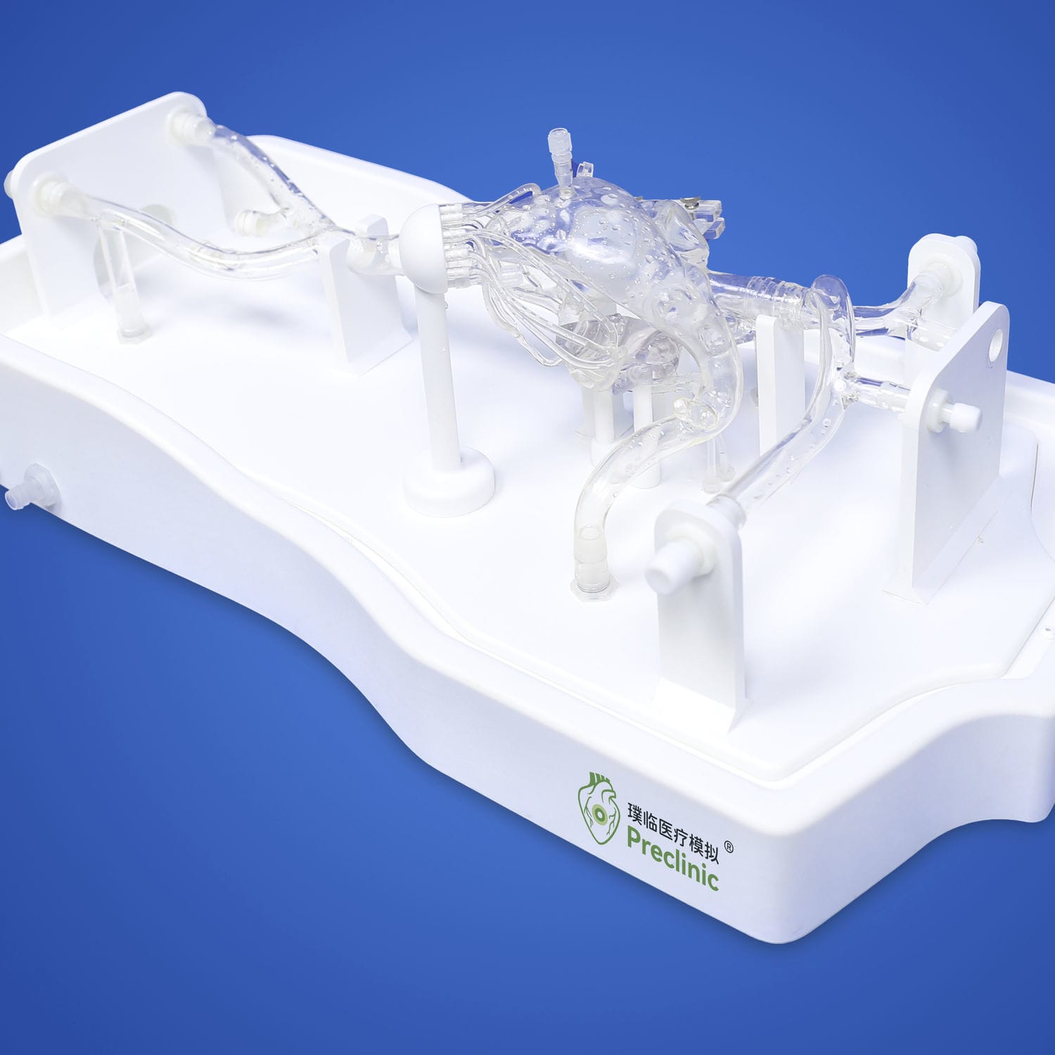 Sinus vascular model PLXG1011