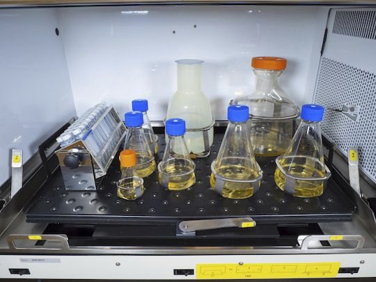 Stackable laboratory incubator New Brunswick™ Innova® series image 4