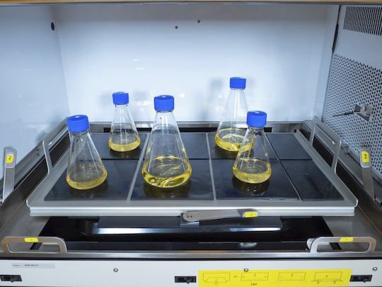 Stackable laboratory incubator New Brunswick™ Innova® series image 5