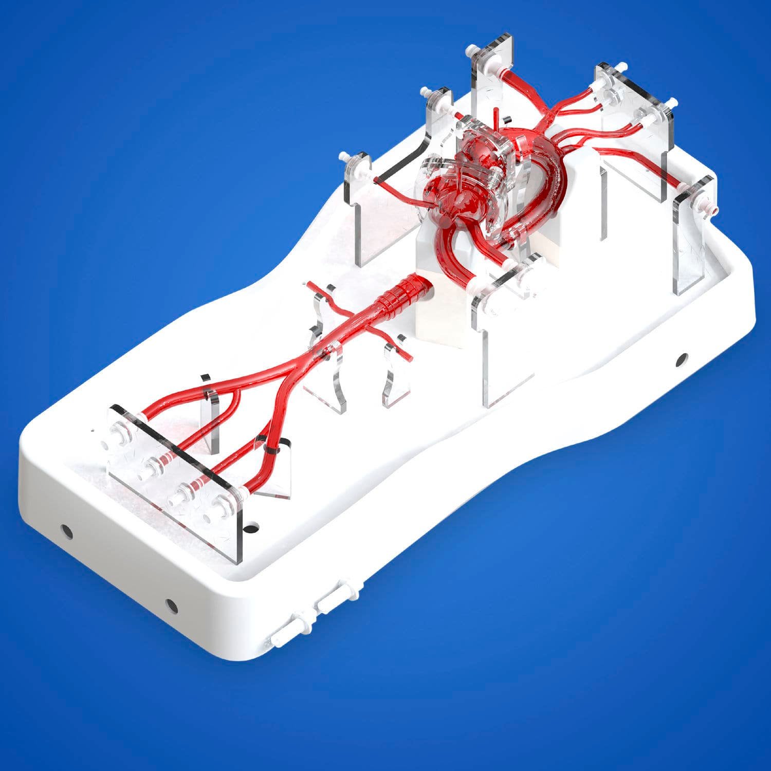 TAVR vascular model PLXZXG005 image 3