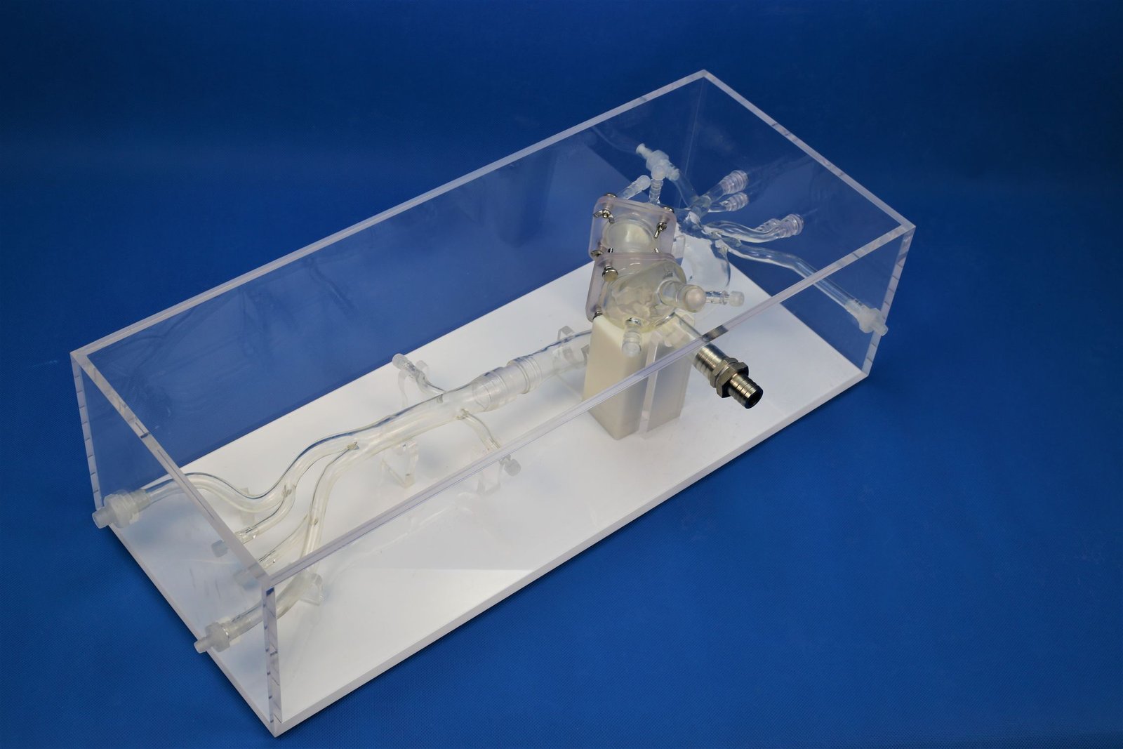 TAVR vascular model PLXZXG005 image 4