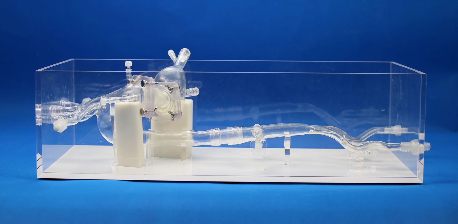 TAVR vascular model PLXZXG005 image 5