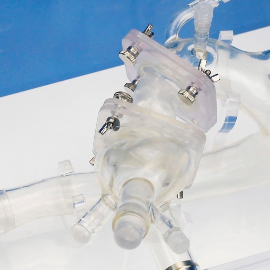 TAVR vascular model PLXZXG005