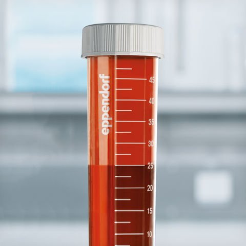 Test tube with snap-on lid SnapTec® 50 image 9