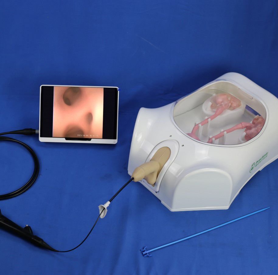 Urological care simulator PLMN1001 image 3
