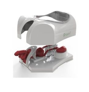 Urological care simulator PLMN1001 image 4