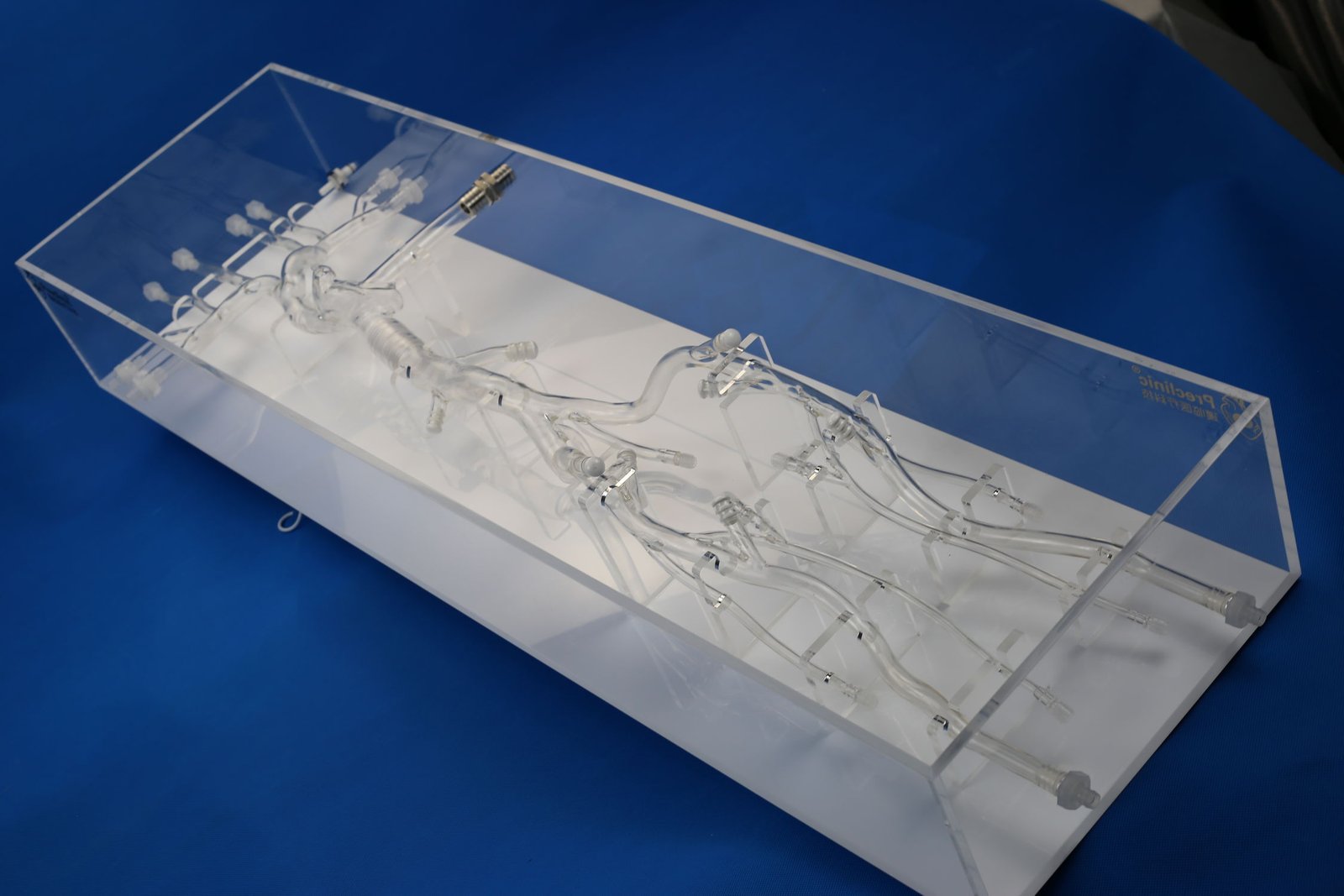 Vein vascular model PLXG1008 image 5