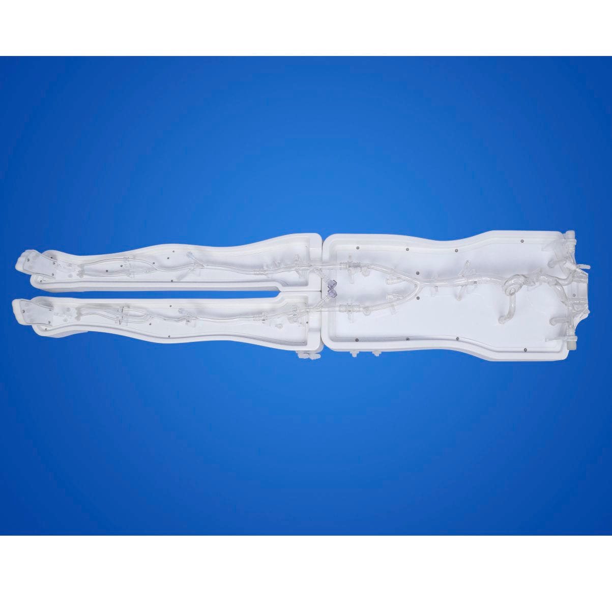 Vein vascular model PLXG1008