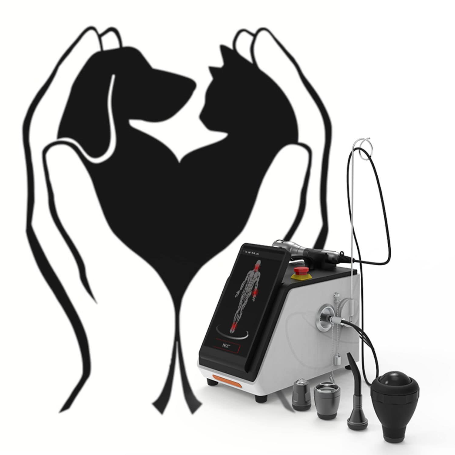 Veterinary surgery laser FireLas Vet image 2